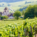 L’Univers Éblouissant de la Champagne Jean Comyn