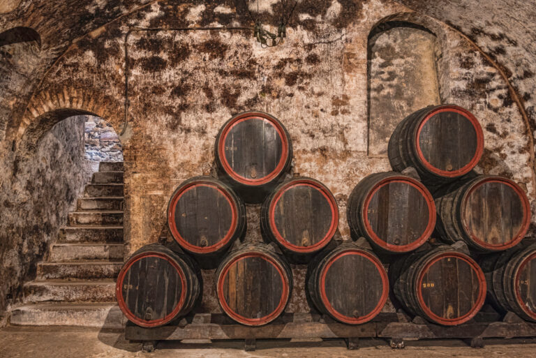 l’été en bulles : savourez le champagne sous le soleil