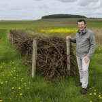 Du Bois Mort : Comment les Vignerons de Champagne Utilisent les Haies Sèches pour Favoriser la Biodiversité